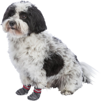 Calcetines para perros XXS-XS