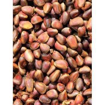 Nueces de cedro 1kg