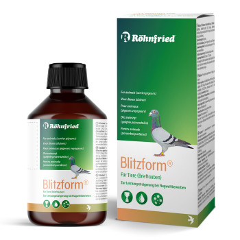 Blitzform 100ml