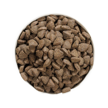 OWNAT PRIME Grain Free Adulto sin cereales con cordero para perro adulto 12kg