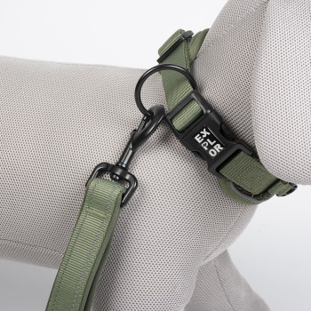 Explor control de ajuste collar clásico verde XS - 30-33cm