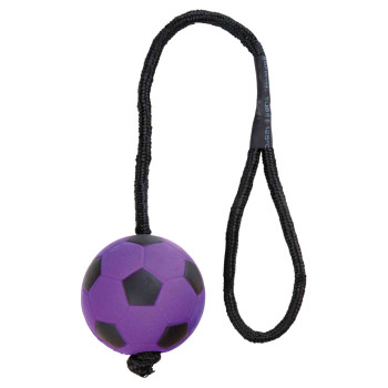 Palla da calcio viola su corda