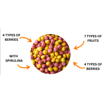 VItal Pellets Mezcla de Frutas y Verduras 10kg - Your Parrot - Extruídos de frutas y verduras