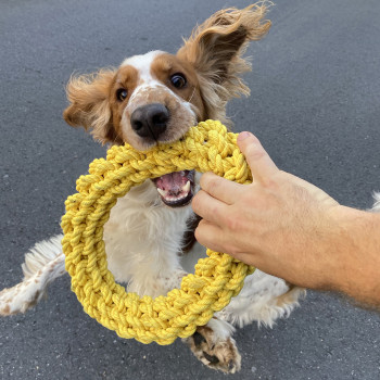 Anello in cotone intrecciato per cani - giallo - Da Chain - 18cm