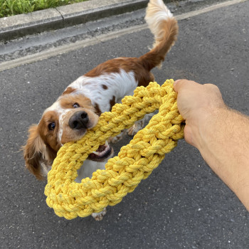 Anello in cotone intrecciato per cani - giallo - Da Chain - 18cm