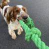 Corda de algodão com cinco nós trançados para cães - verde - Floss - 120cm