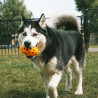 Pelota de rugby para perros - naranja - Crack me up - 14x8x8cm - S