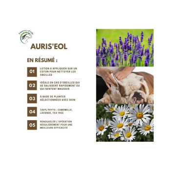 Auris'eol 100ml - Loción de confort para los oídos