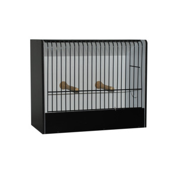 Small parakeet exhibition cage