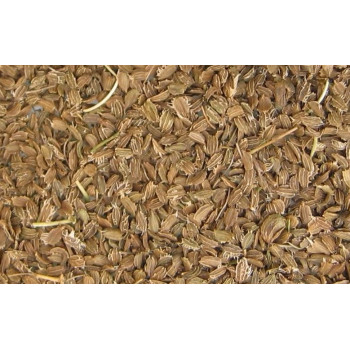 Semillas de zanahoria 2,5kg - Blattner