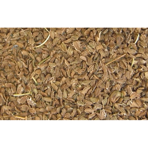 Sementes de cenoura 2,5kg - Blattner