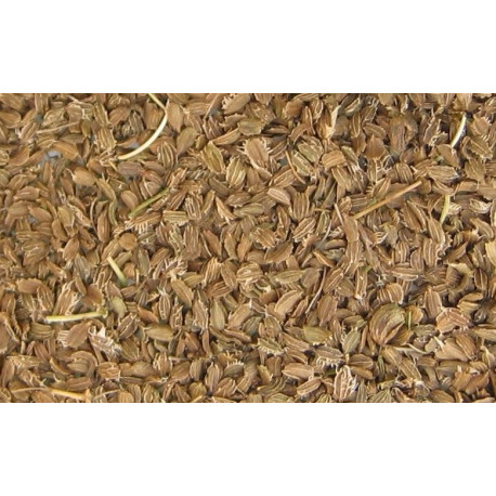 Sementes de cenoura 2,5kg - Blattner