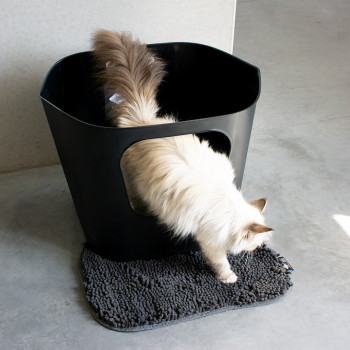 Schwarze Katzentoilettenmatte - 50x34x2,5cm - Daisy