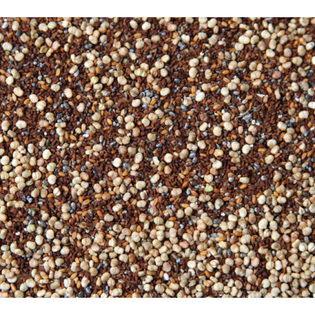 Semi selvatici con chia 5kg - Blattner