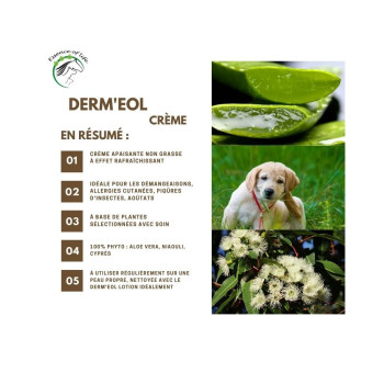 Derm'eol Creme 100ml - Para a comichão - Essence of Life