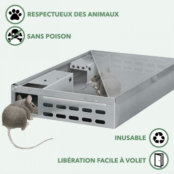 Multi-Souris - Armadilha para ratos - BSI