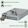 Multi-Souris - Trampa para ratones - BSI