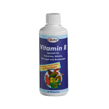 Vitamina B - 100 ml