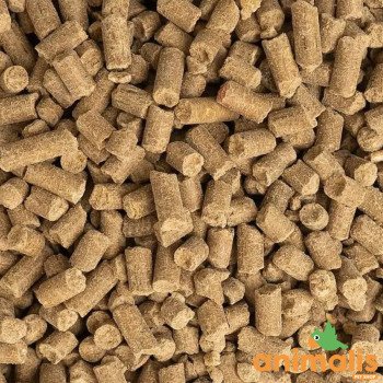 SK22 - Gránulos para Ovejas Gestantes LACTO 22% 20kg - Ovipel 4 pellet