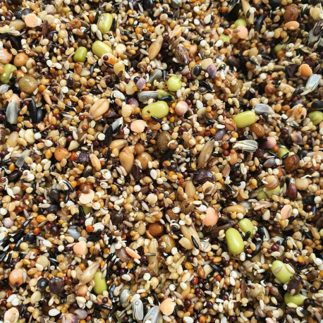 Semi da germogliare 3 kg - Herb bird mix