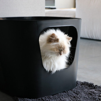 Toilette aperta per gatto nero - Dean - 54,4x43,9x40,5cm