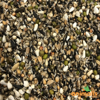 38 - Mistura de sementes para germinar premium 15kg - FDW