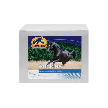 Stable Rocky - Pedra de lamber mineral 2kg