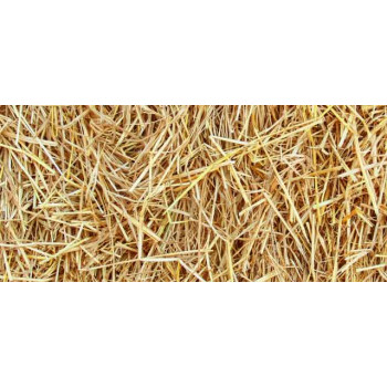 Paglia di grano 10kg - Hippo Straw