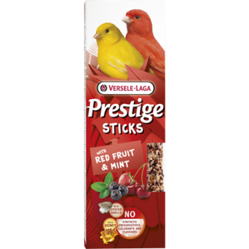 Seed sticks with red fruits...