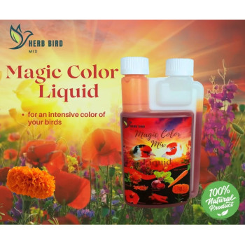 Liquido magico colorato 300ml - Herb bird mix