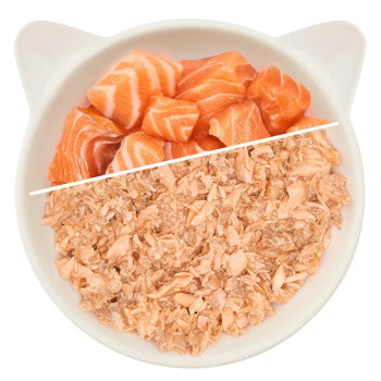 Filé de salmão 70g - Comida úmida para gatos - Wow