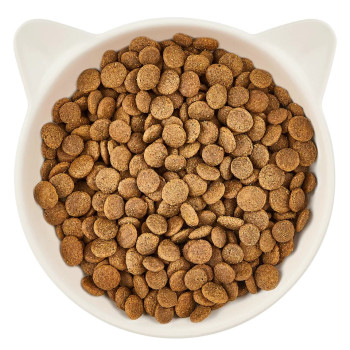 Adulto Bovino 2kg - Ração para gato - Wow