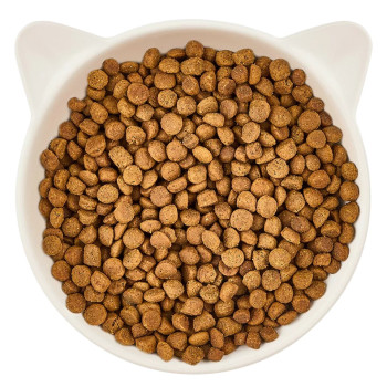 Junior Volaille 2kg - Ração para gatinhos - Wow