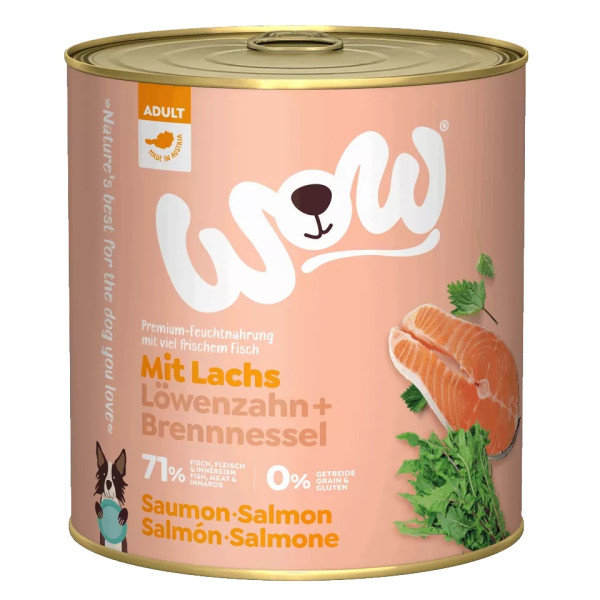 Adulto Salmón 800g - Comida húmeda para perros - Wow