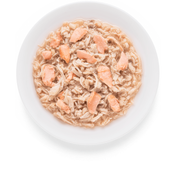 Pollo e Salmone 70g - Cibo umido - Grandorf