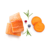 Frischer Lachs und Süßkartoffelfilet 1kg - Frisch - Adult Mini - Grandorf