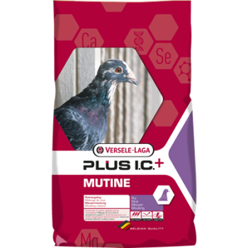 Mutine mais IC+ 20kg