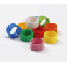 Anello in plastica a scatto per piccione - 12mm - assortimento di colori - 1pz