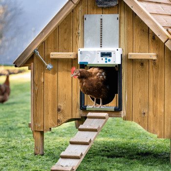 ChickenGuard alles-in-één deuropening voor kippenhok