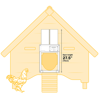 Porta automatica ChickenGuard tutto in uno per pollaio