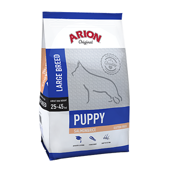 ARION ORIGINAL Puppy Large Salmón para Cachorro de Tamaño Grande 12kg