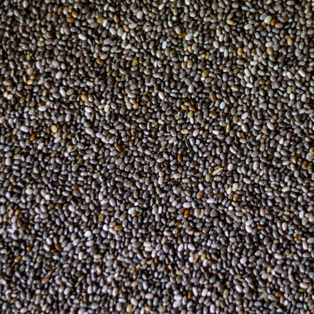 CHIA Samen 1 Kg - Bulk