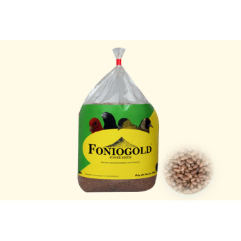 Fonio Gold 1 kg -...