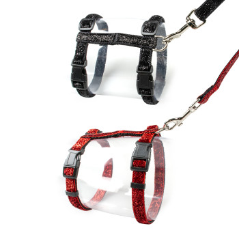 Cat harness + black leash