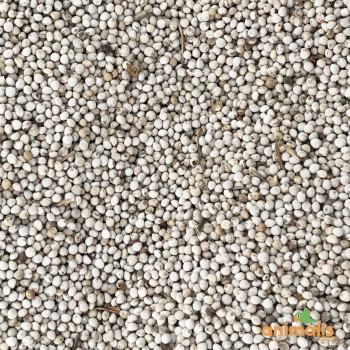 Perilla white 15kg