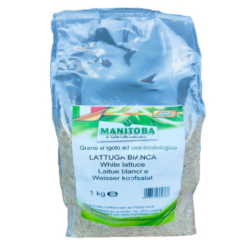 Laitue Blanche 1kg