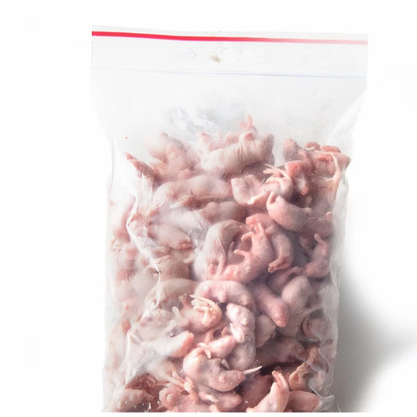 Premium frozen baby mice 1-2g - 25 pieces