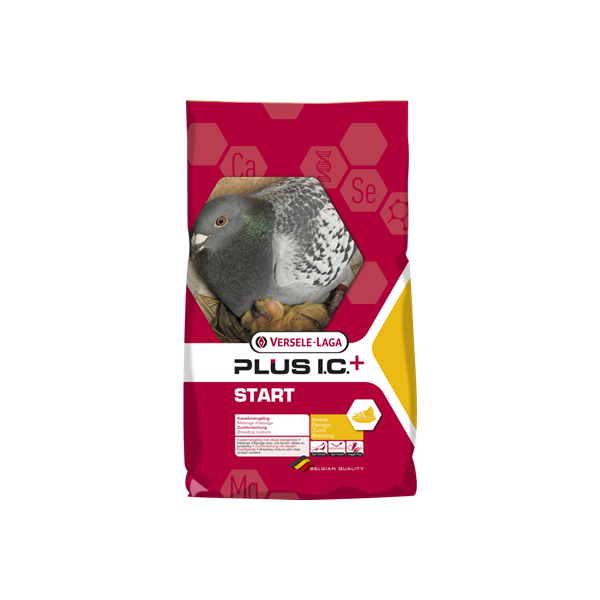 Start plus IC 20Kg + 2Kg Free - Promo