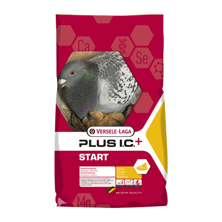 Start plus IC 20Kg + 2Kg Free - Promo