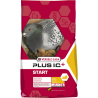 Start plus IC 20Kg + 2Kg Free - Promo